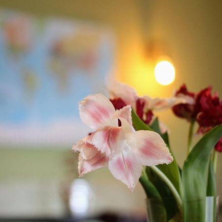 Bed&Breakfast De Grote Byvanck Westervoort Buitenkant foto