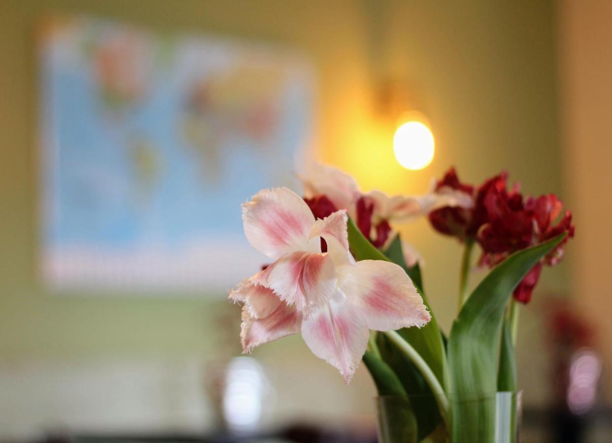Bed&Breakfast De Grote Byvanck Westervoort Buitenkant foto
